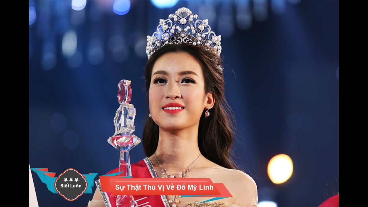 Khám phá hệ sinh thái dịch vụ video ngắn của Hotspot Matrix