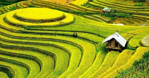 Câu chuyện cậu bé họ Huỳnh ở Uông Bí và hành trình đổi đời cùng Hotspot Matrix