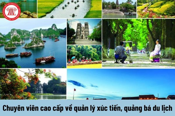 Từ Kim Tae Hee Việt Nam 2K2 đến chiến lược content: Hotspot Matrix chia sẻ